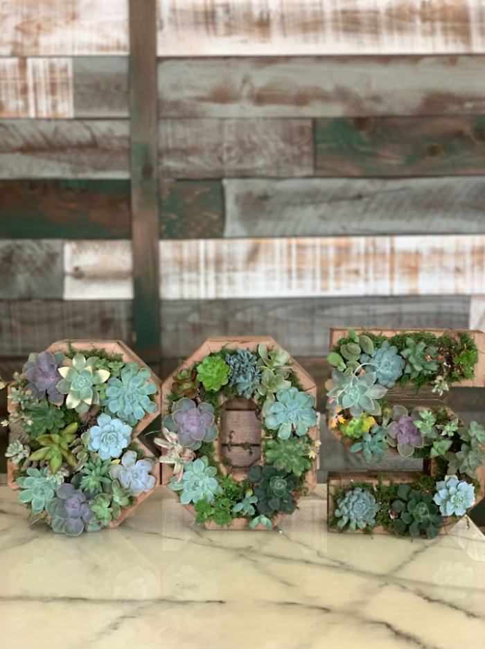 Succulent Letters and Numbers